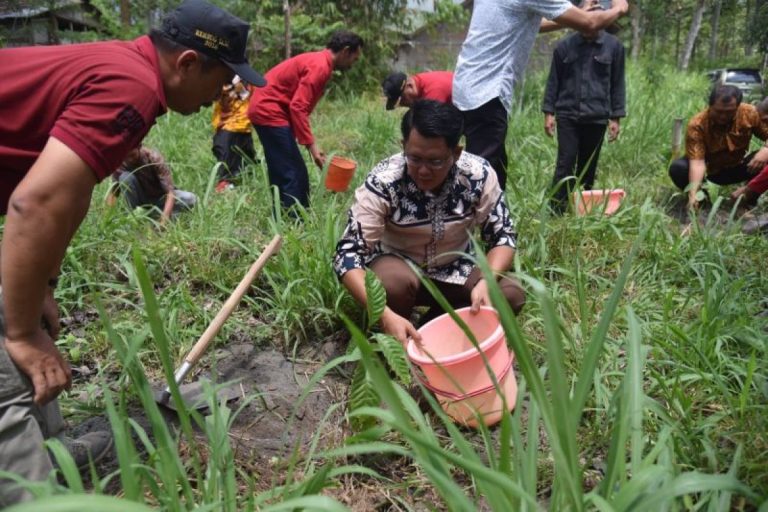 Pemkab Sleman tanam 50 ribu bibit kopi pada lereng Merapi